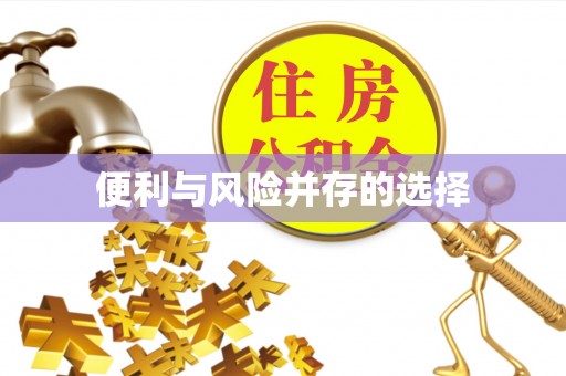 墨脱便利与风险并存的选择