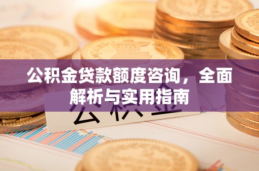 墨脱公积金贷款额度咨询，全面解析与实用指南