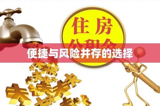墨脱便捷与风险并存的选择
