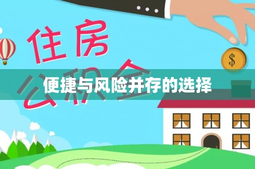 墨脱便捷与风险并存的选择