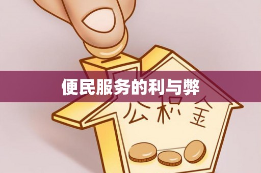 墨脱便民服务的利与弊